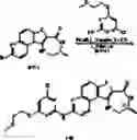 Fig. 373 - MK2 inhibitors and uses thereof