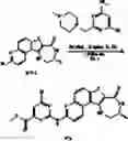 Fig. 376 - MK2 inhibitors and uses thereof