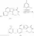 Fig. 382 - MK2 inhibitors and uses thereof