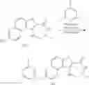 Fig. 387 - MK2 inhibitors and uses thereof