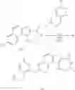 Fig. 407 - MK2 inhibitors and uses thereof