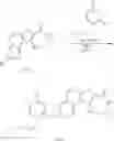 Fig. 427 - MK2 inhibitors and uses thereof