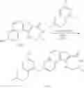 Fig. 440 - MK2 inhibitors and uses thereof