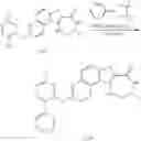 Fig. 450 - MK2 inhibitors and uses thereof