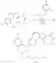Fig. 457 - MK2 inhibitors and uses thereof