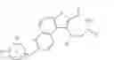 Fig. 465 - MK2 inhibitors and uses thereof