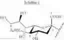Fig. 08 - Synthesis of sialylated/fucosylated human milk oligosaccharides