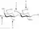 Fig. 32 - Synthesis of sialylated/fucosylated human milk oligosaccharides