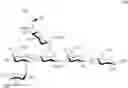 Fig. 56 - Synthesis of sialylated/fucosylated human milk oligosaccharides