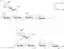 Fig. 67 - Synthesis of sialylated/fucosylated human milk oligosaccharides
