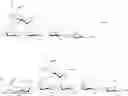 Fig. 69 - Synthesis of sialylated/fucosylated human milk oligosaccharides