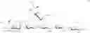 Fig. 88 - Synthesis of sialylated/fucosylated human milk oligosaccharides