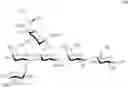 Fig. 89 - Synthesis of sialylated/fucosylated human milk oligosaccharides
