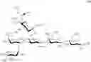 Fig. 95 - Synthesis of sialylated/fucosylated human milk oligosaccharides