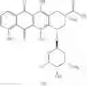Fig. 76 - Morpholinyl anthracycline derivatives