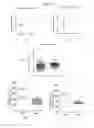 Fig. 03 - Uridine nucleoside derivatives, compositions and methods of use