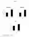 Fig. 29 - Uridine nucleoside derivatives, compositions and methods of use
