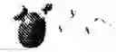Fig. 112 - RADICAL ORBITAL SWITCHING