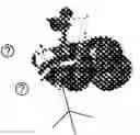 Fig. 33 - RADICAL ORBITAL SWITCHING