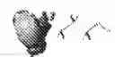 Fig. 69 - RADICAL ORBITAL SWITCHING