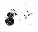 Fig. 81 - RADICAL ORBITAL SWITCHING