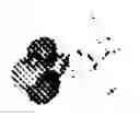 Fig. 82 - RADICAL ORBITAL SWITCHING