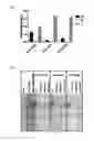 Fig. 06 - Peptoid affinity ligands
