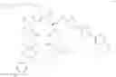 Fig. 29 - Antifungal agents and uses thereof