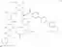 Fig. 40 - Antifungal agents and uses thereof