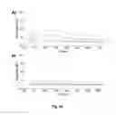 Fig. 33 - Tailoring multivalent interactions of biopolymers with a polyproline scaffold