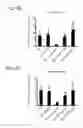 Fig. 08 - Aquaporin-4 Peptide Compositions and Methods of Use