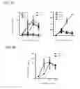 Fig. 09 - Aquaporin-4 Peptide Compositions and Methods of Use
