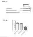 Fig. 10 - Aquaporin-4 Peptide Compositions and Methods of Use