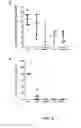 Fig. 07 - Antimicrobial peptide