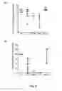 Fig. 08 - Antimicrobial peptide