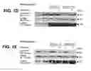 Fig. 03 - B-TYPE PLEXIN ANTAGONISTS AND USES THEREOF