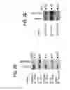 Fig. 05 - B-TYPE PLEXIN ANTAGONISTS AND USES THEREOF