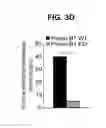 Fig. 12 - B-TYPE PLEXIN ANTAGONISTS AND USES THEREOF