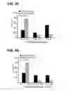Fig. 14 - B-TYPE PLEXIN ANTAGONISTS AND USES THEREOF