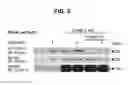 Fig. 20 - B-TYPE PLEXIN ANTAGONISTS AND USES THEREOF
