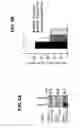 Fig. 21 - B-TYPE PLEXIN ANTAGONISTS AND USES THEREOF