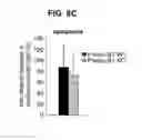 Fig. 30 - B-TYPE PLEXIN ANTAGONISTS AND USES THEREOF