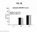Fig. 36 - B-TYPE PLEXIN ANTAGONISTS AND USES THEREOF