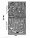 Fig. 37 - B-TYPE PLEXIN ANTAGONISTS AND USES THEREOF