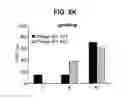 Fig. 38 - B-TYPE PLEXIN ANTAGONISTS AND USES THEREOF