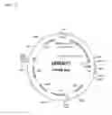 Fig. 18 - ALBUMIN VARIANTS
