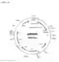 Fig. 20 - ALBUMIN VARIANTS