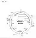 Fig. 19 - ALBUMIN VARIANTS