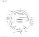 Fig. 18 - ALBUMIN VARIANTS