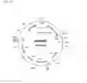 Fig. 20 - ALBUMIN VARIANTS